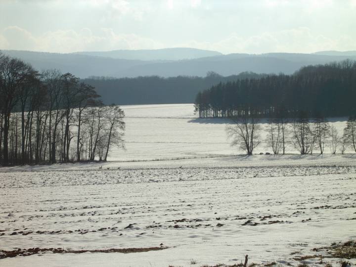 C'est l'hiver !