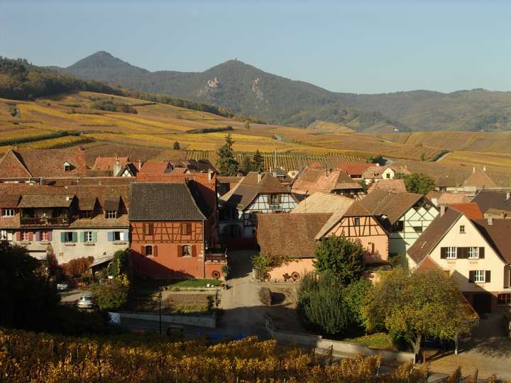 Vignoble de Hunawihr (68).