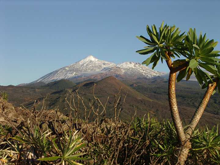 Pico de Teide (alt. 3718m) et Pico Viejo (Ile de T�n�rife).