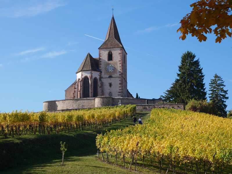 �glise fortifi�e de Hunawihr (68).