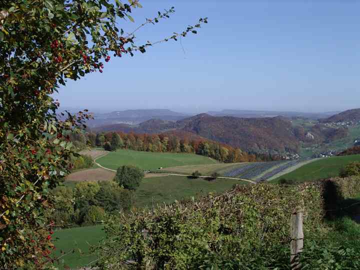 C'est l'automne vers Reigoldswil (Canton de B�le Campagne).